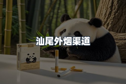 汕尾外烟渠道